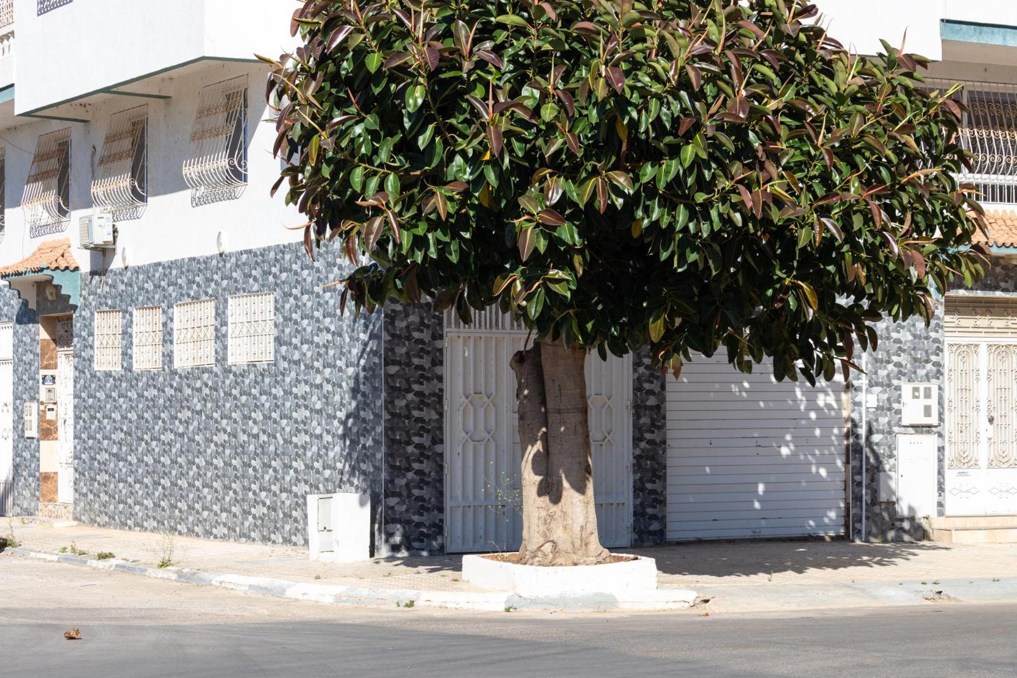 Calmes Et Spacieux * Tétouan